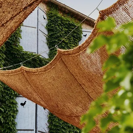 Hotel Coq