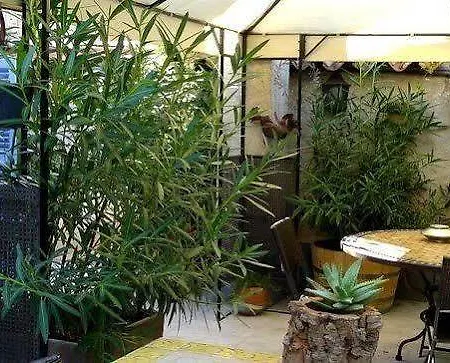 Hotel Coq